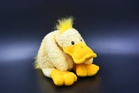 Yellow rubber duck toy on a black background, closeup of photo. Large yellow, beige soft duckling with a yellow beak is located on a black plastic background.の写真素材