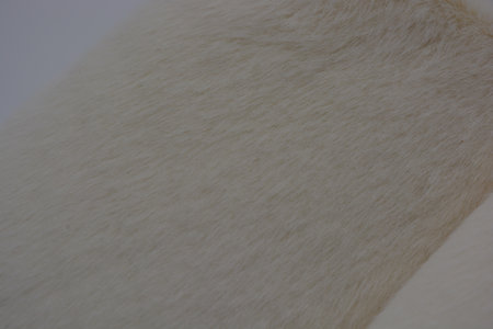 White fur texture as a background, closeup of photo, animal skin. White fluffy warm dense fur made...