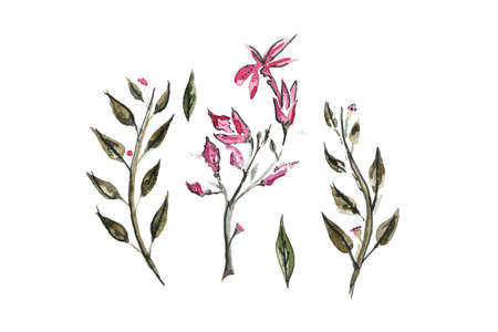 Watercolor branches with pink flowers and green leaves. Suitable for postcards, holidayの写真素材