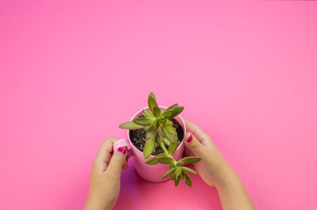 A girl is holding a pot with a cactus on a pink background. Pastel colors. Valentine's Day.
