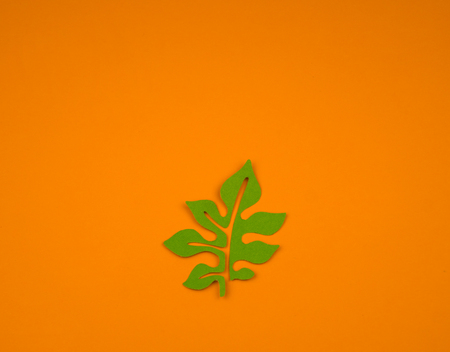 Green leaves made from paper on orange background. Autumn leaf fall. Favorite hobby handicraft.の写真素材