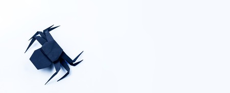 Origami Halloween. Black spider made of paper. Copy spaceの写真素材