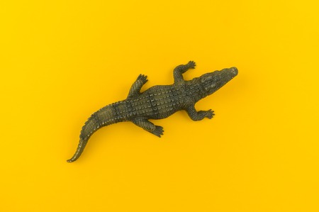 Alligator plastic toy on a yellow background. African animal for a child. Copy space.の写真素材