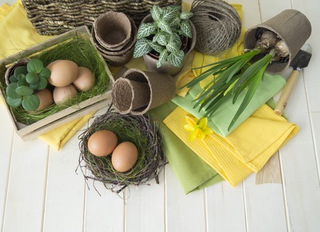 Easter eggs basket flowers spring transplant of flowers nest tools. Narcissus fittonia, succulent Wooden background.の写真素材
