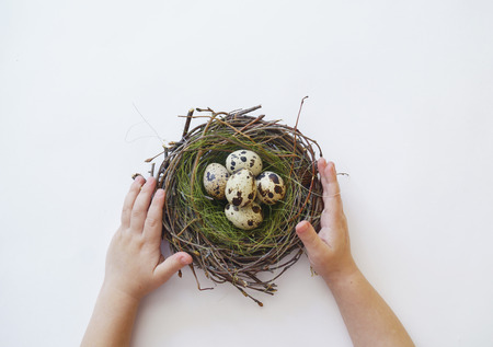 Children's hands hold an Easter nest with eggs. View from above. Child. Boy. Hands of the child. Spring. White background.の写真素材