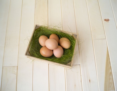 Spring. Easter. Easter egg in a container for egg. Brown egg in green grass. Curly egg. Wooden...