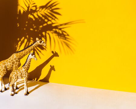Figure of an animal on a yellow background. Shadow palm tree and giraffe. Hot summer trend ecology.の写真素材