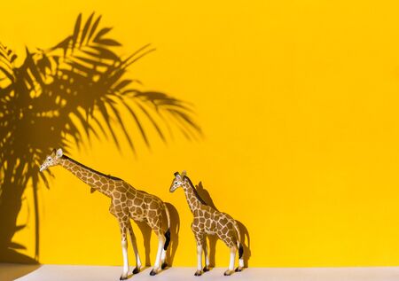 Figure of an animal on a yellow background. Shadow palm tree and giraffe. Hot summer trend ecology.の写真素材