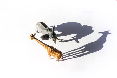 figure of an animal on a white background. Shadow elephant and giraffe. Hot summer trend ecology.