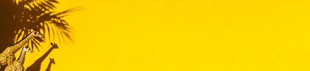 Figure of an animal on a yellow background. Shadow palm tree and giraffe. Hot summer trend ecology.の写真素材