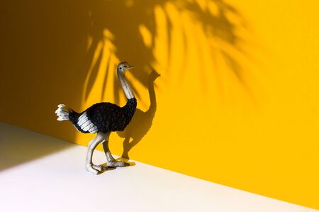 Figure of an animal on a yellow background. Shadow of the ostrich. Hot summer trend ecology.の写真素材