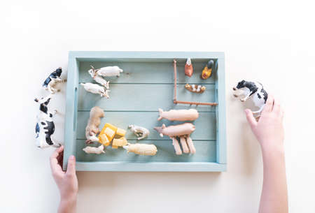 Montessori material farm animals. Education at home. Lesson with children. White background.