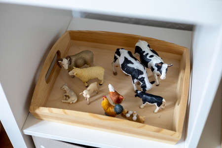 Farm animal figurines in a box. Montessori material. Home schooling concept.の写真素材
