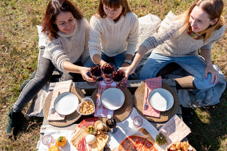 Three friends had a picnic in the autumn field. 3 young women beautifully eat and drink wine. Girl...