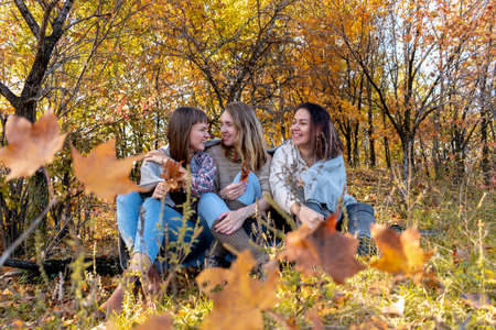 Three diverse female friends are sitting on a log and talking in the autumn forest. female...