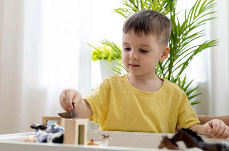 Montessori material. Little boy explores the farm animals in the game. sensory box. Homeschooling....