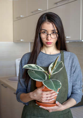 Young Asian girl holding a pot of ficus. indoor plant. Conscious consumption. home gardening. Zero waste.の写真素材