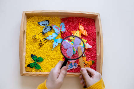 Top view of child hands, sensory box in Montessori school. Concept of using resources for teaching children. copy spaceの写真素材