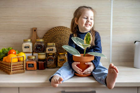 Toddler girl sits on the kitchen table sits and holds a clay pot with ficus in her hands. Zero waste. Vegetarian family.の写真素材