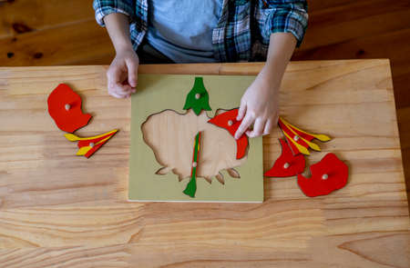 Montessori material structure of a flower. Cheerful boy is studying at home. Children learn biology with toys.の写真素材