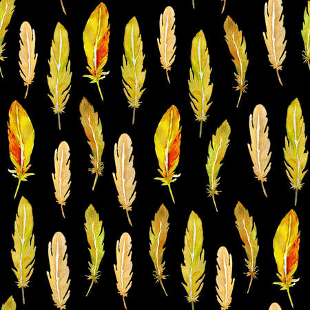 Seamless pattern of bright feathers painted in watercolor on a black backgroundの写真素材