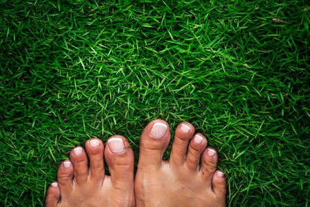Women's barefoot with french manicure on a green grass. High quality photoの写真素材