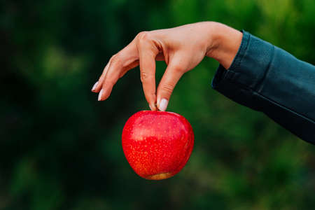 Woman hand holding a red apple on a green trees background. Healthy food. Natural vitaminsの写真素材