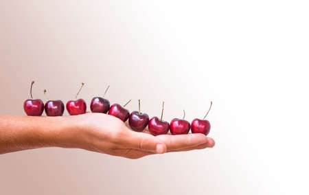 Fresh sweet red cherries isolated on pink backgroundの写真素材