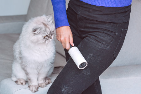 Woman cleaning black clothes with lint roller or sticky roller from grey cats hair. Clothes in pet furの写真素材