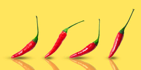Small hot red chilli peppers arranged in a row on a yellow backgroundの写真素材