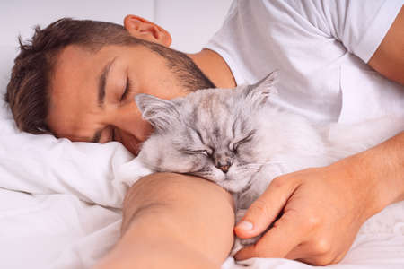 Man sleeping with cat. Lovely cat and owner. Love and trust between people and petsの写真素材
