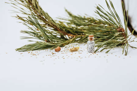 New year golden gifts for merry christmas with fir branches on white background