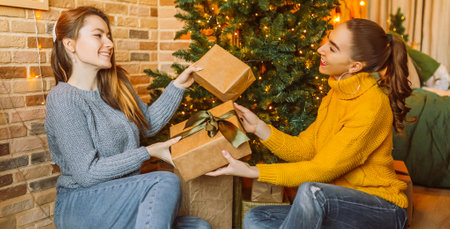 Two beautiful cheerful happy young girls girlfriend give Christmas gifts on the background of a new year tree at homeの写真素材