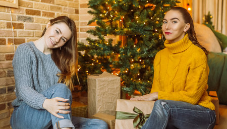 Two beautiful cheerful happy young girls girlfriend give Christmas gifts on the background of a new year tree at homeの写真素材