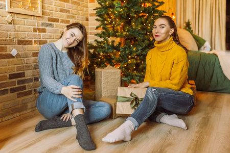 Two beautiful cheerful happy young girls girlfriend give Christmas gifts on the background of a new year tree at homeの写真素材