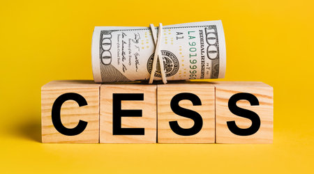 cess with money on a yellow background. The concept of business, finance, credit, income, savings, investments, exchange, taxの写真素材