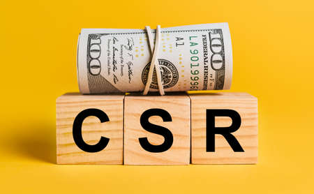CSR with money on a yellow background. The concept of business, finance, credit, income, savings, investments, exchange, taxの写真素材