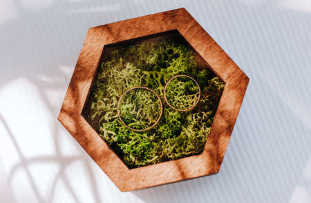 Two wedding rings in a wooden box with a moss plant on a white background with sunlight