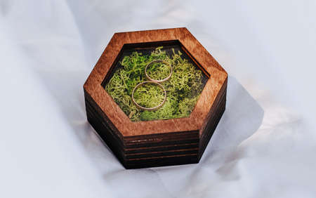 Two wedding rings in a wooden box with a moss plant on a white background with veilの写真素材
