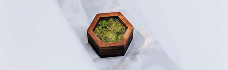 Two wedding rings in a wooden box with a moss plant on a white background with veil