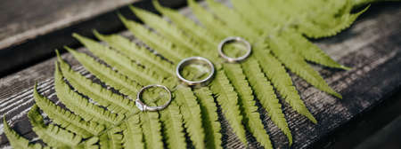 Two wedding rings and an engagement ring lie on a fern plant on a wooden tableの写真素材
