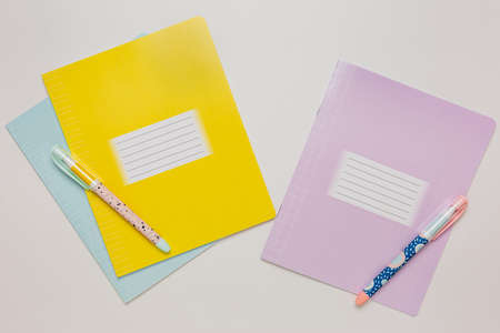 Notepad, exercise book and pen on the desk. Mock up in copy space office on white background. Back...