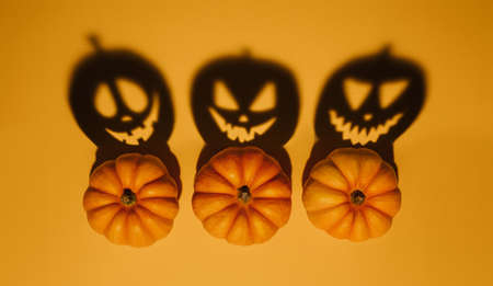 Halloween background concept. Jack O pumpkin angry face shadow. Spooky smiling shadow of an orange pumpkin lantern top view close up, Halloween party designの写真素材