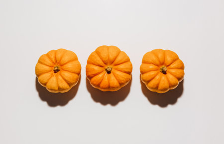 Fresh ripe orange pumpkins on white background. Space for text mockup Halloween concept