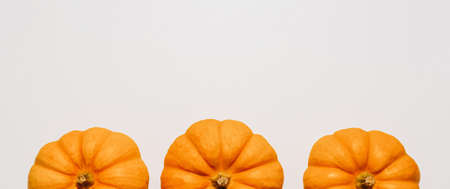 Fresh ripe orange pumpkins on white background. Space for text mockup Halloween conceptの写真素材