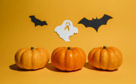 Fresh ripe pumpkin on orange background. Space with bats and ghost Halloween conceptの写真素材