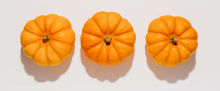 Fresh ripe orange pumpkins on white background. Space for text mockup Halloween conceptの写真素材