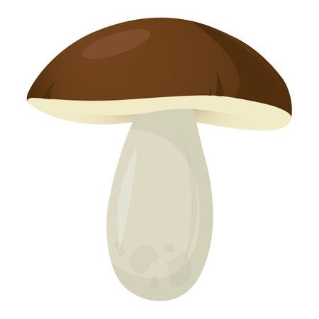 Mushroom Boletus Vector Icon, Cartoon cep drawingのイラスト素材