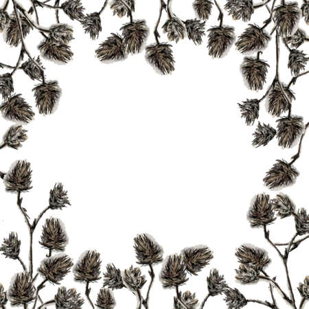 Decorative laid-back watercolor frame of delicate pastel, beige fluffy branches illustration in sketch style. Romantic, abstract floral border with copyspace, isolated on white background.の写真素材