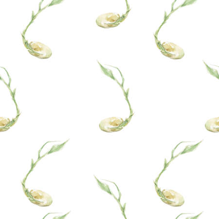 Watercolor seamless pattern sprouting seed on a white background. Drawn by hand for design, clipart, book, poster and stikers.の写真素材